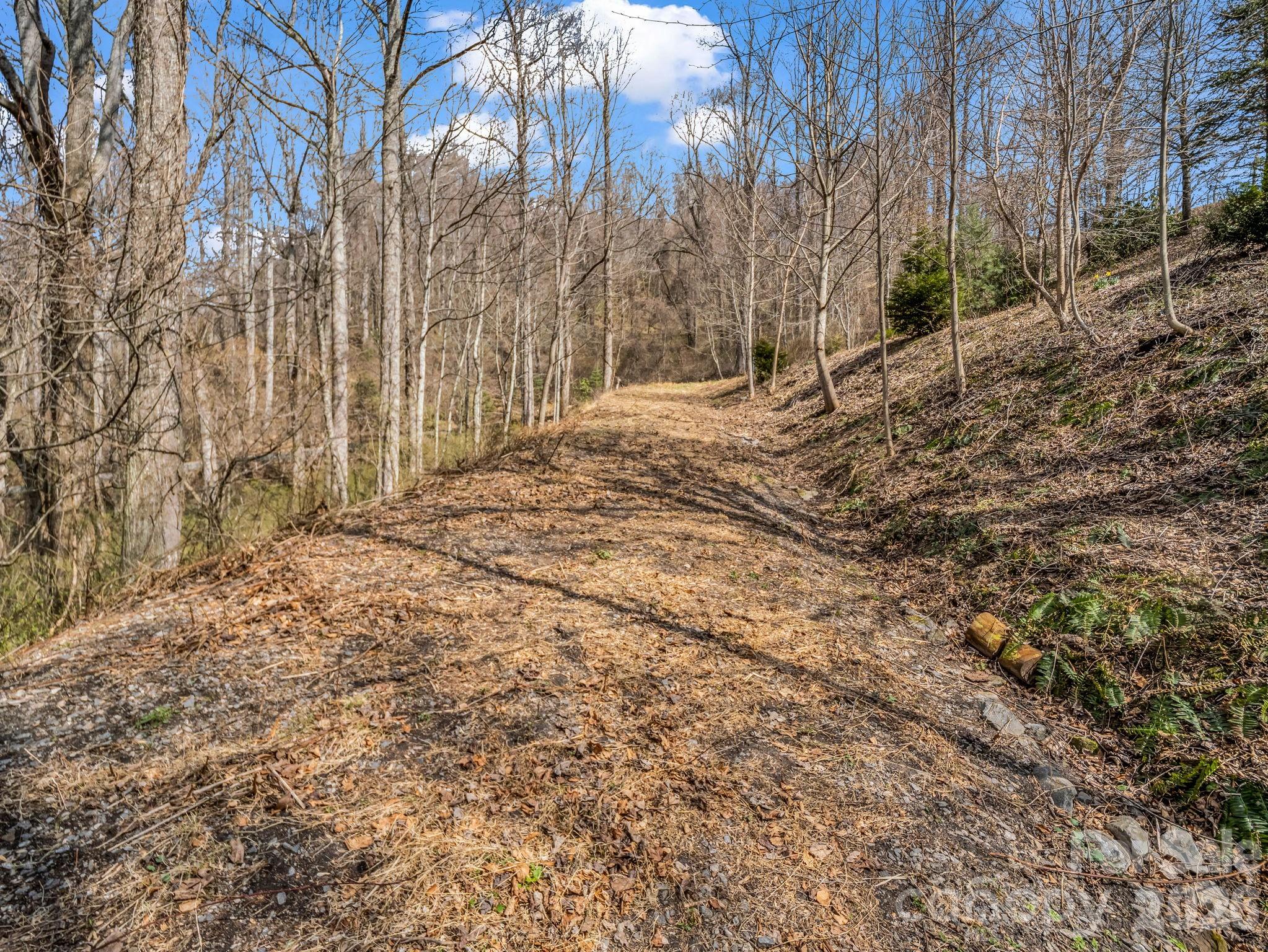 Land in Asheville 4