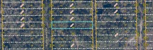 1039 Sable Palm Drive, CHRISTMAS, FL, 32709 | Card Image