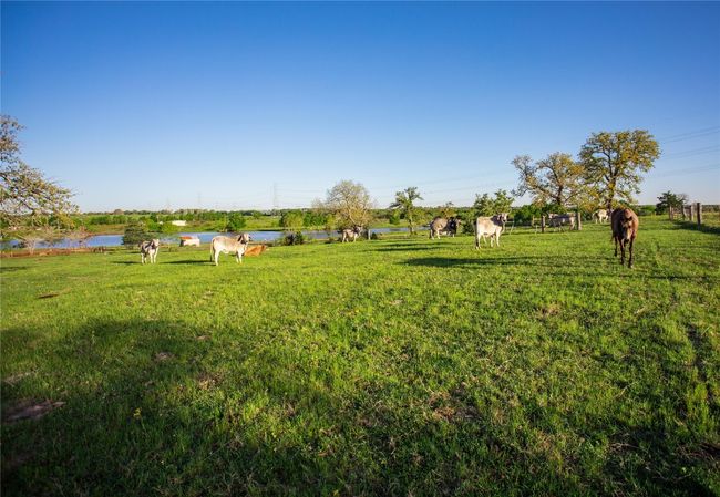 View of green lawn featuring a rural view | Image 26