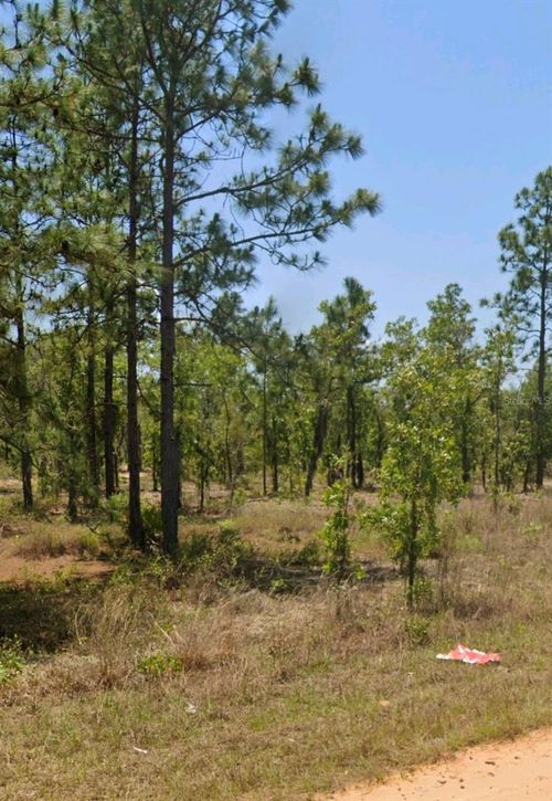 LOT 14 15 16 AND 17 Idaho Avenue, Hawthorne, FL, 32640 | Card Image