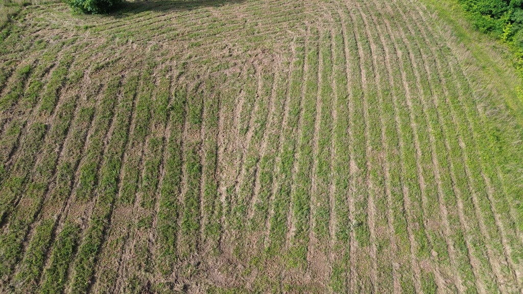 Land in Smithville 2