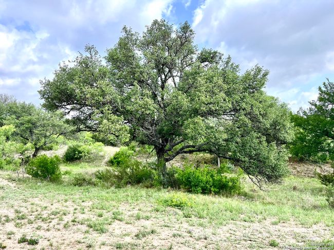1155 Razor Ridge Rd, Home with 3 bedrooms, 2 bathrooms and null parking in Junction TX | Image 34