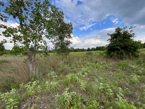 TBD County Rd., Lot 20-C Road, Bastrop, TX, 78602 | Card Image