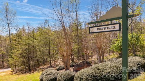 29-TBD Jobes Trail, Mill Spring, NC, 28756 | Card Image