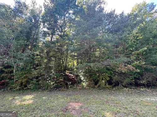 lot 1 N Laceola Road, Cleveland, GA, 30528 | Card Image