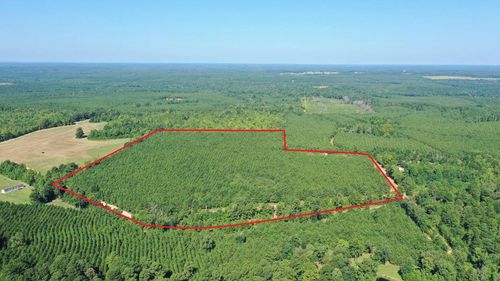0000 County Road 1619, Linden, TX, 75563 | Card Image