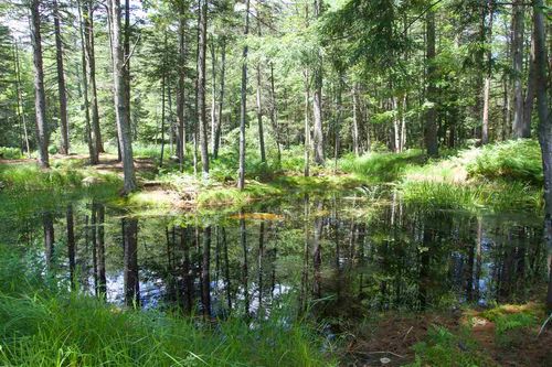 2 Mountainside Dr, North Sutton, NH, 03260-6401 | Card Image