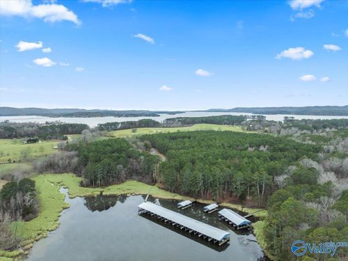 425 John Cabaniss Rd, Langston, AL, 35755 | Card Image