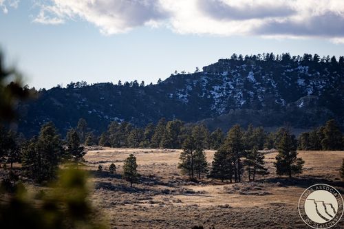 1234 Border Rd, Shepherd, MT, 59079 | Card Image