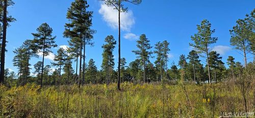 Lot 8 Millville Rd, Lawrenceville, VA, 23868 | Card Image