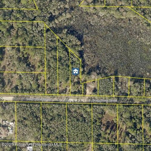 37 Soap Stone St, Webster, FL, 33597 | Card Image