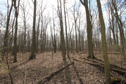 0 W Township Road 84, Fostoria, OH, 44830 | Card Image