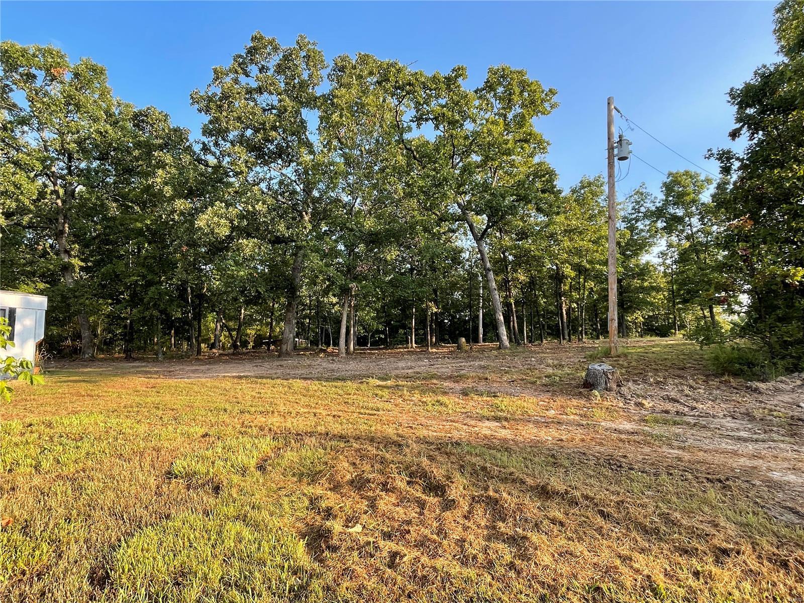 Hillsdale Ln, Lebanon, MO 65536
