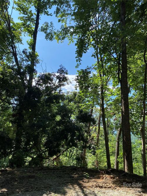 81-0 Winesap Blvd, Lake Lure, NC, 28746 | Card Image