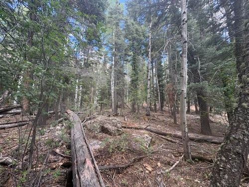 30 Brazos Lodge Estates, Chama, NM, 87520 | Card Image