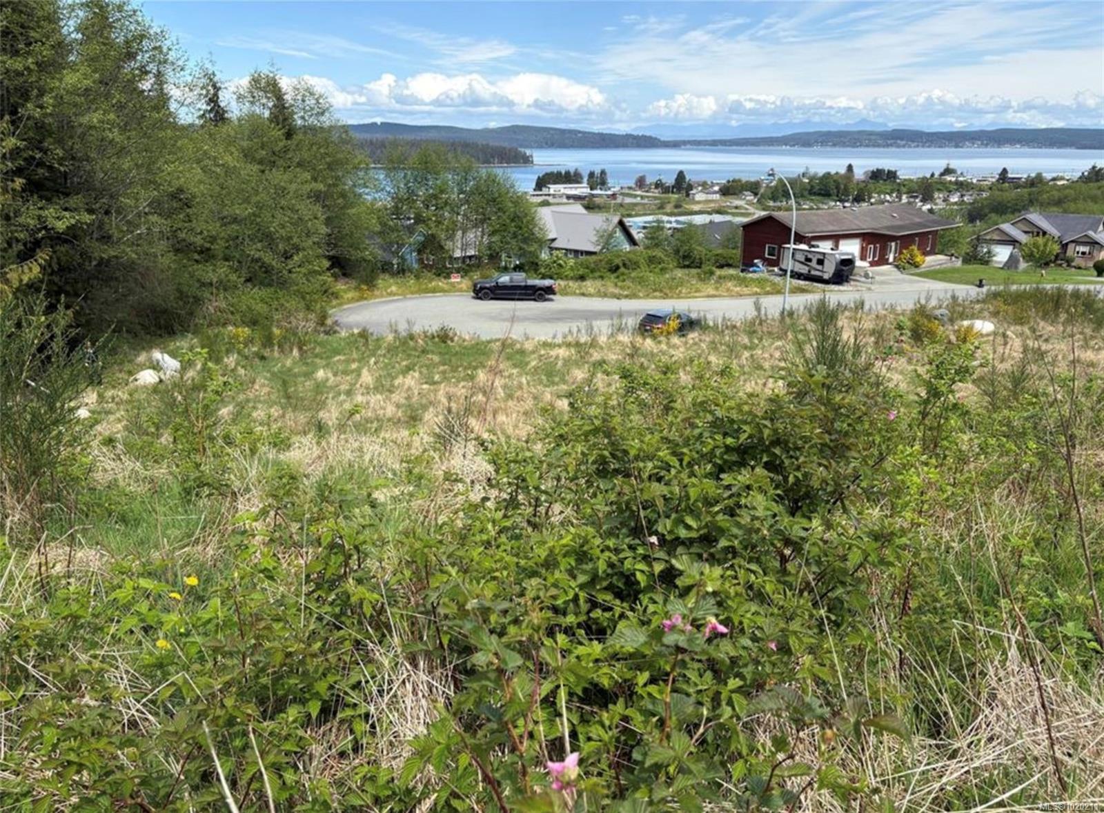 Residential in Port McNeill 2