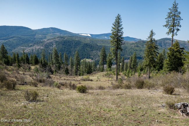 262 North Side Road, Home with 0 bedrooms, 0 bathrooms and null parking in Calder ID | Image 9