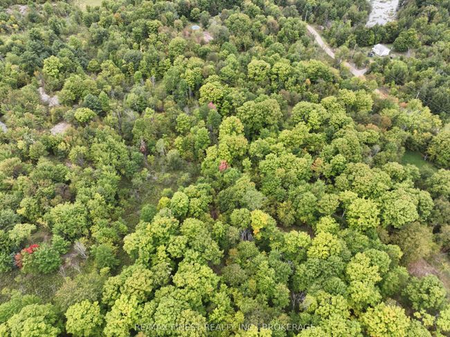 1147 Cronk Rd, Home with 0 bedrooms, 0 bathrooms and 4 parking in Parham ON | Image 26
