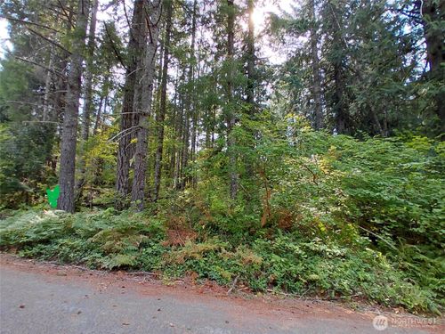 78 Fir Park Ln, Packwood, WA, 98361 | Card Image