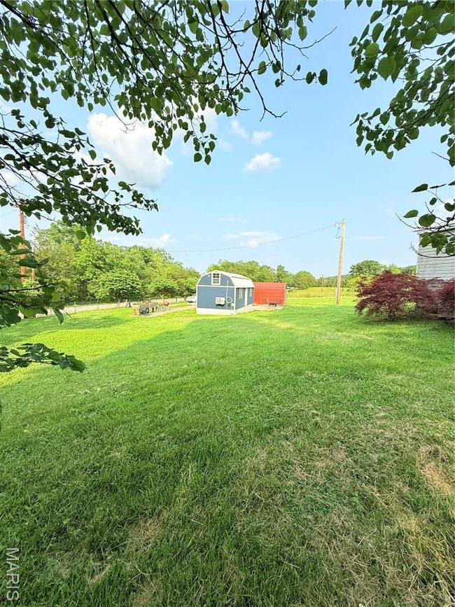 View of green lawn | Image 38