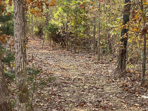 TBD Lower Janes Creek Rd, Ravenden Springs, AR, 72460 | Card Image