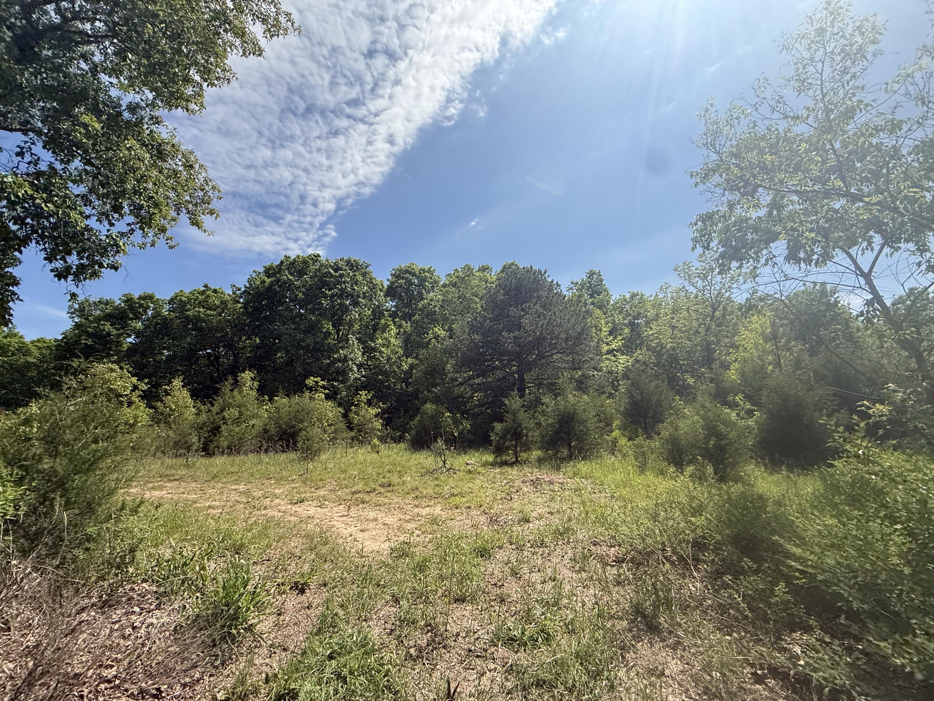 Land in Licking 3