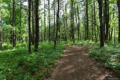 TBD Old Kings Rd, Catskill, NY, 12414 | Card Image