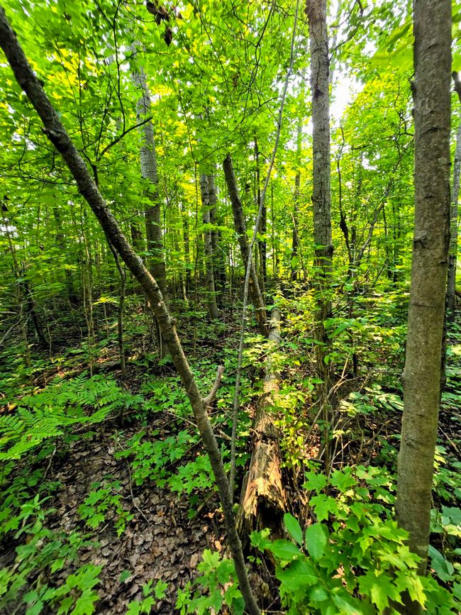 1937140-7d6915b4-c7a3-457d-b20c-fc5d8f70183c.JPG | Image 15