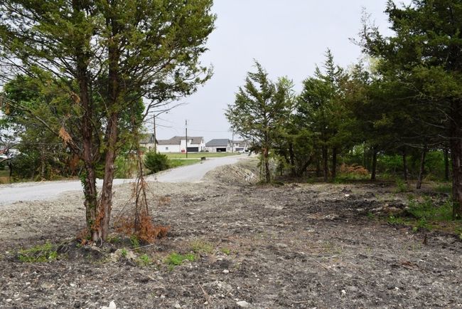 View of road | Image 8