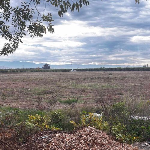 39088 39088 Road 104 Dinuba, Ca Road, Dinuba, CA, 93618 | Card Image