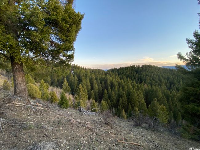 View of mountain feature | Image 36