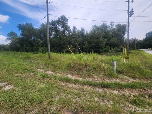 TBD Sw Shorewood Drive, Other, FL, 34431 | Card Image