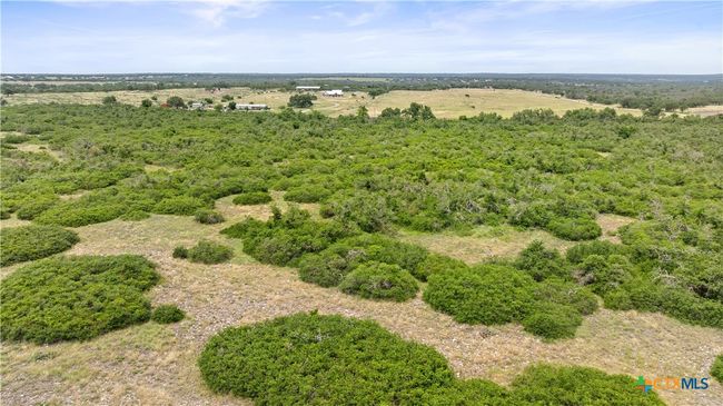3049 Reservation Rd, Home with 0 bedrooms, 0 bathrooms and null parking in Harper TX | Image 7