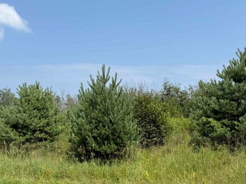 lot 2 blk 1 Reservation Rd, Cloquet, MN, 55720 | Card Image