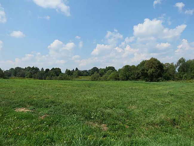 Land. | Image 6