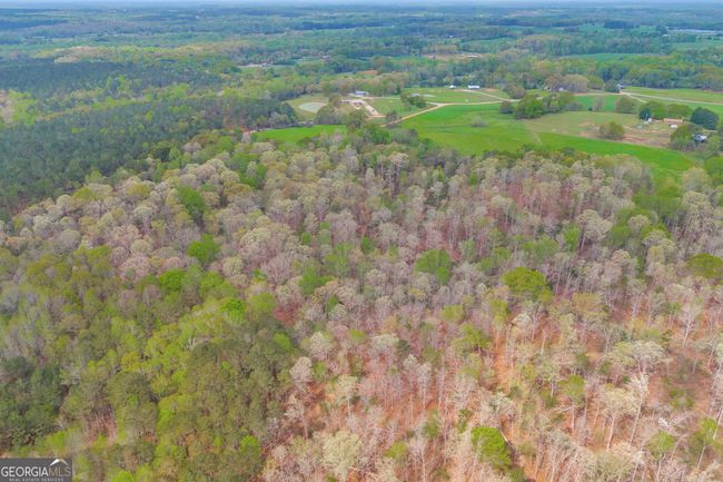 0 Carey Ford Rd, Home with 0 bedrooms, 0 bathrooms and null parking in Danielsville GA | Image 22
