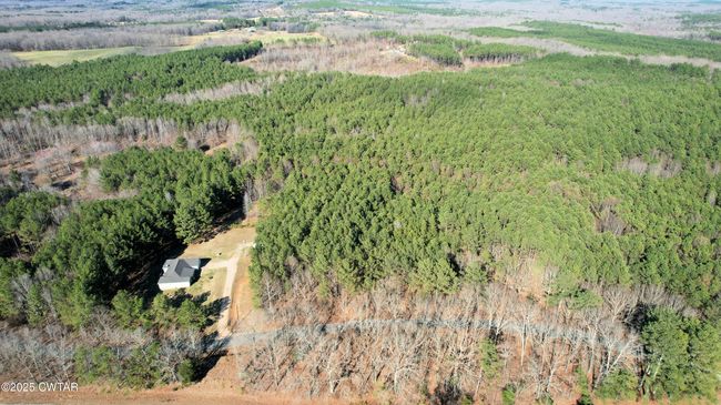 130 Moss Loop, House other with 4 bedrooms, 3 bathrooms and 2 parking in Enville TN | Image 56