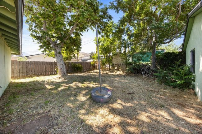 back yard | Image 23