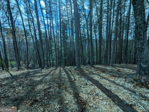 LT 30-31 Eagle Ridge Rd, Dawsonville, GA, 30534 | Card Image