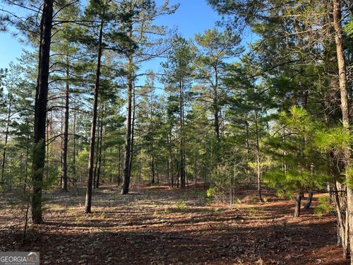 8-acres-PARCEL #3 Horne Road, Roberta, GA, 31078 | Card Image