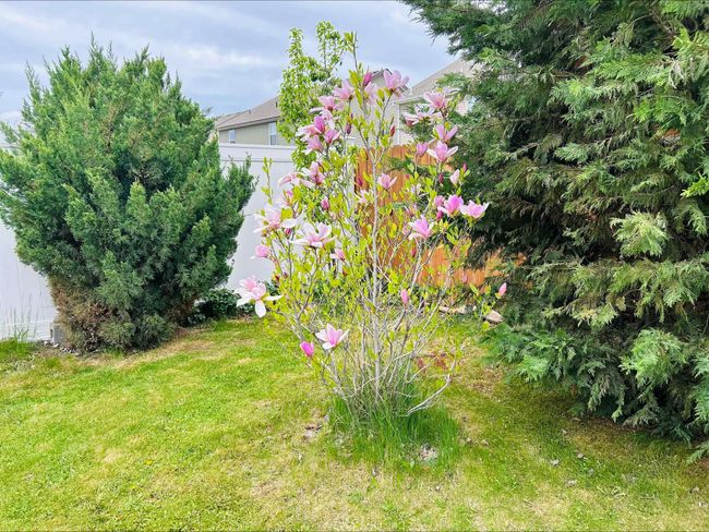 12827 W 3 Rd Ave, House other with 3 bedrooms, 2 bathrooms and null parking in Airway Heights WA | Image 37