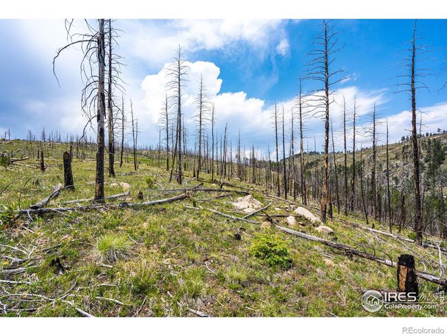 2384 Rist Creek Rd, Home with 0 bedrooms, 0 bathrooms and null parking in Bellvue CO | Image 16