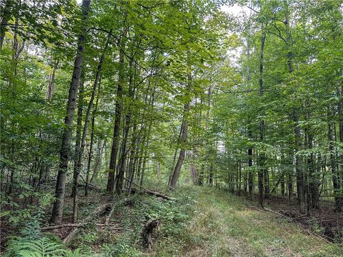 8190 Billing Dr, Almond, NY, 14804 | Card Image