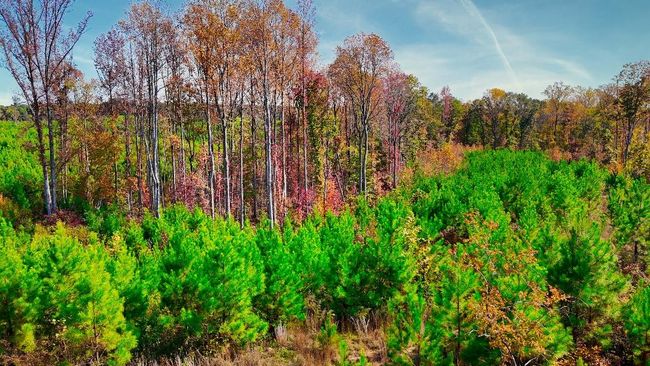 4 Ferrell Rd, Home with 0 bedrooms, 0 bathrooms and null parking in Middleton TN | Image 9