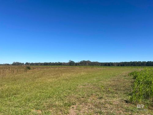 4900 Block Black Rd, Mc David, FL, 32568 | Card Image