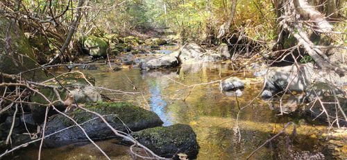 0 Thomas West Road, Lunenburg, VT, 05906 | Card Image