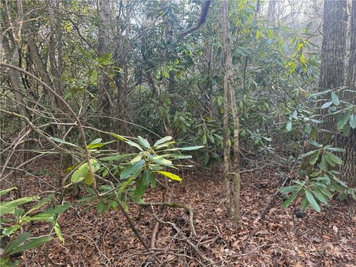 TBD Huckleberry Knob Lane, Newland, NC, 28657 | Card Image