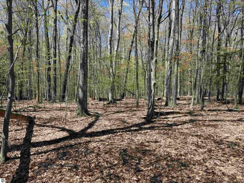0000 Martin Road, Beulah, MI, 49640 | Card Image