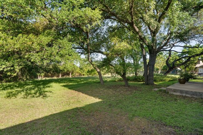 View of back yard | Image 23