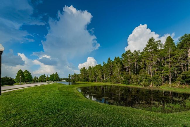 1236 Ketzal Dr, House other with 5 bedrooms, 3 bathrooms and null parking in TRINITY FL | Image 50